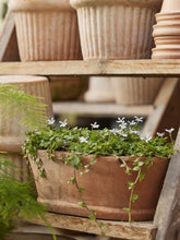 Načíst obrázek do prohlížeče Galerie, Květináč - "Alice Natura Patina" 1 ks, š40 x d20 x v14 cm