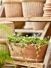 Načíst obrázek do prohlížeče Galerie, Květináč - "Alice Natura Patina" 1 ks, š40 x d20 x v14 cm