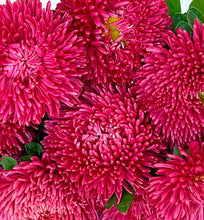 Načíst obrázek do prohlížeče Galerie, Astra - "Balloon", Terracotta