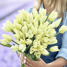 Načíst obrázek do prohlížeče Galerie, Tulipán "Purissima", 5ks, 10ks