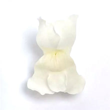 Načíst obrázek do prohlížeče Galerie, Hledík vetší - "Potomac™ ", White