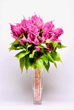 Načíst obrázek do prohlížeče Galerie, Nevadlec ohnivý - "SUNDAY", Bright Pink