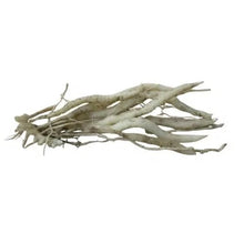 Načíst obrázek do prohlížeče Galerie, Alstrœmerie (Peruánská lilie) - "Arcturus"