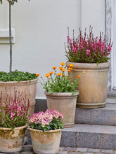 Načíst obrázek do prohlížeče Galerie, Květináč - "Athena Natura Patina", 1ks, ø22 x v22