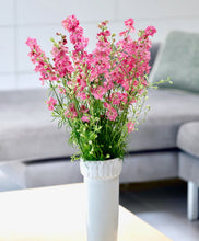 Načíst obrázek do prohlížeče Galerie, Ostrožka stračka - "King Size", Scarlet