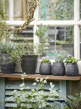 Načíst obrázek do prohlížeče Galerie, Nádoba na květiny či bylinky - "Fie", ø9 x v9,5cm, 2ks