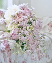 Načíst obrázek do prohlížeče Galerie, Ostrožka grandiflora - "F1, Jenny's Pearl", Pink