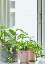 Načíst obrázek do prohlížeče Galerie, Obal na květináč s podtáckem - "Lacepot Pink", 1 ks, průměr ø 14cm x v 14cm