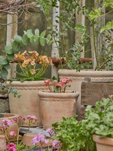 Načíst obrázek do prohlížeče Galerie, Květináč - "Lissi Antique", 1ks, ø22 x v20 cm