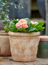 Načíst obrázek do prohlížeče Galerie, Květináč - "Lissi Antique", 1ks, ø22 x v20 cm
