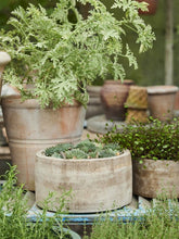 Načíst obrázek do prohlížeče Galerie, Květináč - "Mira Antique", 1ks, ø30 x v16