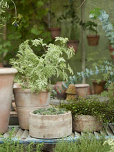 Načíst obrázek do prohlížeče Galerie, Květináč - "Mira Antique", 1ks, ø23,5 x v13,5