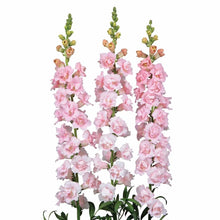 Načíst obrázek do prohlížeče Galerie, Hledík větší - "F1 Snapstar", Pink