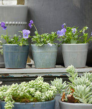 Načíst obrázek do prohlížeče Galerie, Obal na květináč s podtáckem - "Pearl", 1ks, ø 14cm x 12cm