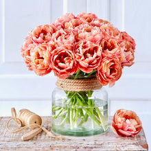 Načíst obrázek do prohlížeče Galerie, Tulipán - "Copper Image®", 5ks