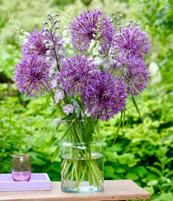 Načíst obrázek do prohlížeče Galerie, Okrasný česnek - "Purple Rain", 4ks