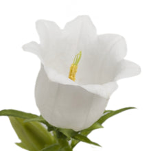 Načíst obrázek do prohlížeče Galerie, Zvonek zahradní - "Champion F1", White