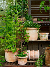 Načíst obrázek do prohlížeče Galerie, Květináč - "Ulrike Natura Patina", 1ks, ø17 x v12 cm