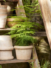 Načíst obrázek do prohlížeče Galerie, Květináč - "Ulrike Natura Patina", 1ks, ø17 x v12 cm