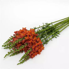 Načíst obrázek do prohlížeče Galerie, Hledík větší - "Potomac", Dark Orange