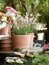 Načíst obrázek do prohlížeče Galerie, Květináč - "Ofelia Natura Patina", 1ks, ø18 x v18 cm