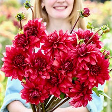 Načíst obrázek do prohlížeče Galerie, Jiřina - "Amarone", 1ks
