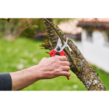 Načíst obrázek do prohlížeče Galerie, Zahradnické nůžky FELCO 171L, střih do 25 mm, základní řada
