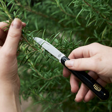 Načíst obrázek do prohlížeče Galerie, Floristický nůž FELCO 520
