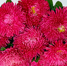 Načíst obrázek do prohlížeče Galerie, Astra - "Balloon", Terracotta
