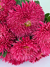 Načíst obrázek do prohlížeče Galerie, Astra - "Balloon", Terracotta
