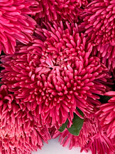 Načíst obrázek do prohlížeče Galerie, Astra - "Balloon", Terracotta
