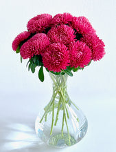 Načíst obrázek do prohlížeče Galerie, Astra - "Balloon", Terracotta
