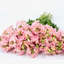 Načíst obrázek do prohlížeče Galerie, Hledík větší - "Madame Butterfy", Pink

