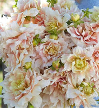 Načíst obrázek do prohlížeče Galerie, Jiřina - "Break Out", 1ks
