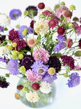 Načíst obrázek do prohlížeče Galerie, Hlaváč tmavonachový - Mix barev
