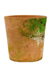 Načíst obrázek do prohlížeče Galerie, Květináč - &quot;Ofelia Natura Patina&quot;, 1ks, ø18 x v18 cm
